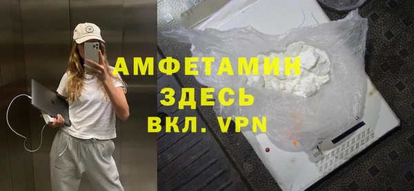 шишки Бородино