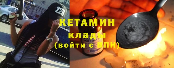 шишки Бородино