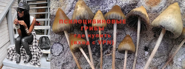 шишки Сосновоборск