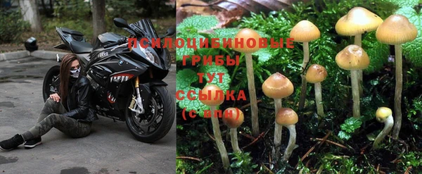 ALPHA-PVP Бугульма