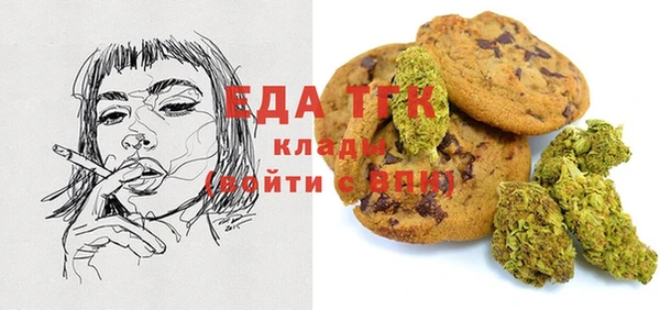 шишки Бородино