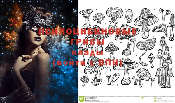 амф Богданович
