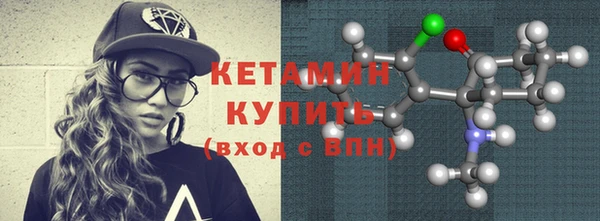 шишки Бородино