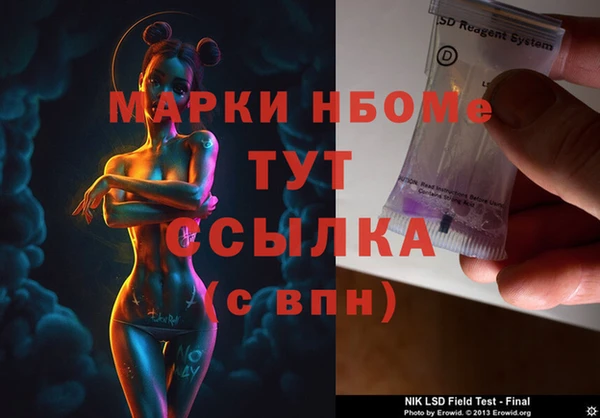 шишки Бородино