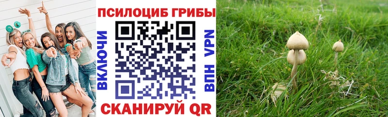 как найти закладки Южноуральск Псилоцибиновые грибы Psilocybe